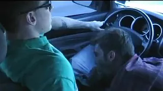 A insaciável Crissy  ...