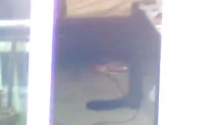 A puta loira bem agr ...