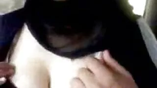 Dois garanhões furio ...